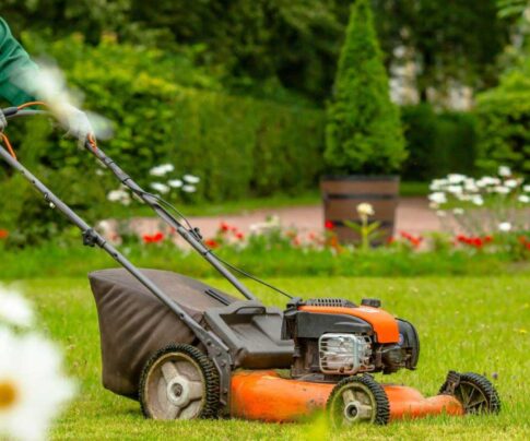 Lawn & Garden Maintenance Services